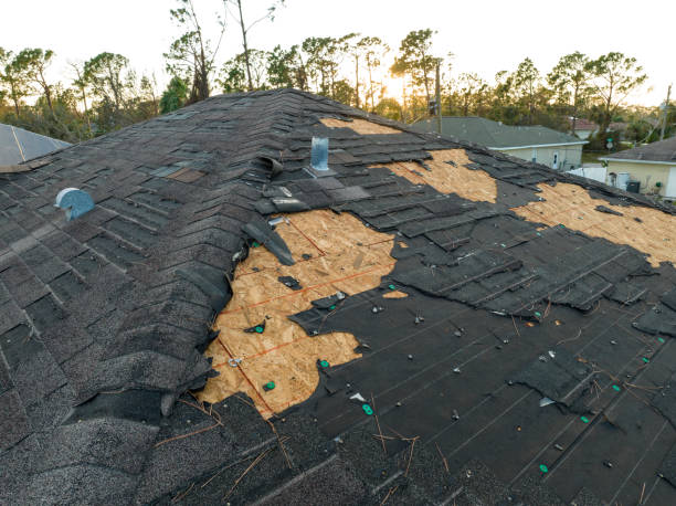 Best Roof Insulation Installation  in Galva, IL