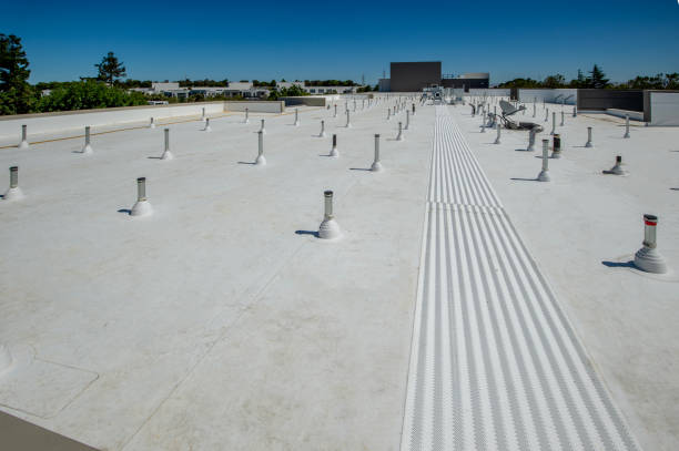 Best Storm Damage Roof Repair  in Galva, IL